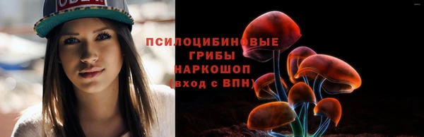 соль ск Аркадак