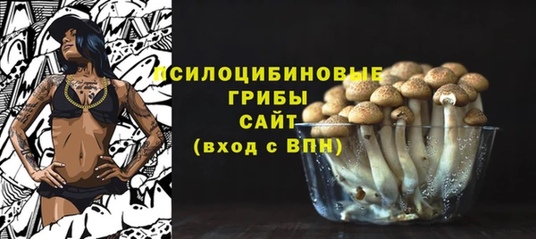 соль ск Аркадак