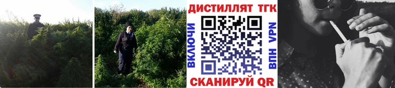 Дистиллят ТГК концентрат  Купить  Суджа 